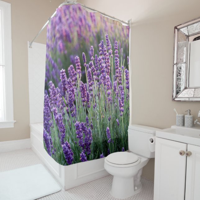 Luscious Lavender  Shower Curtain (In Situ)