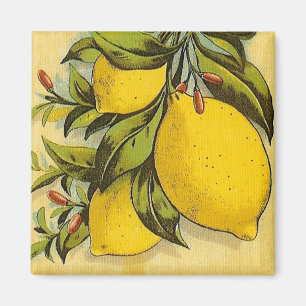 Luscious Lemons Magnet