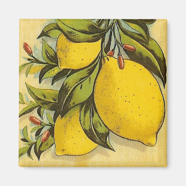 Luscious Lemons Magnet (Front)