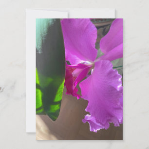 Luscious Orchid Thank You Card