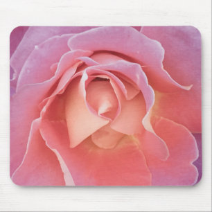 Luscious Pink Rose Mouse Pad