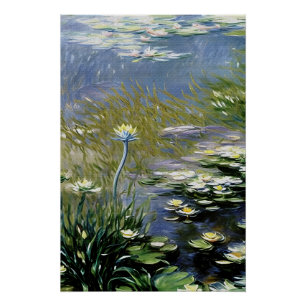 Lush Agapanthus Flowers at Giverny Poster