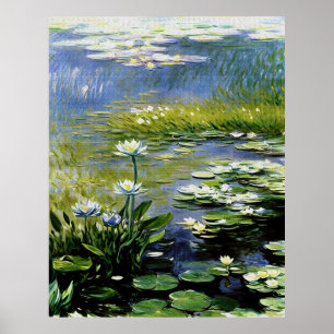 Lush Agapanthus Flowers at Giverny Poster