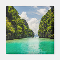 Lush Bacuit Archipelago