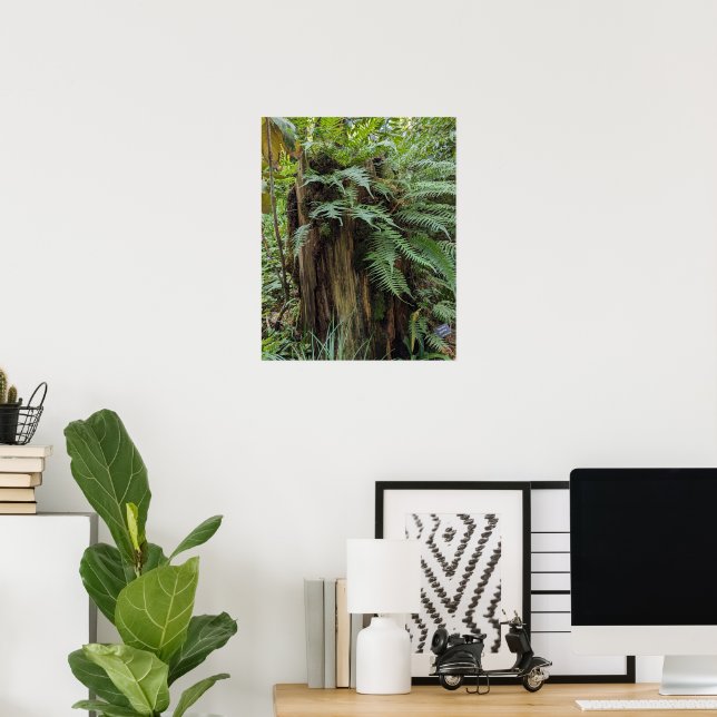 Lush Ferns Growing on Tree Stump Botanical Poster (Home Office)