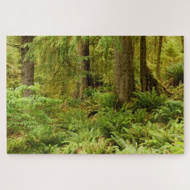 Lush Forest & Ferns | Ecola State Park, Oregon Jigsaw Puzzle (Horizontal)
