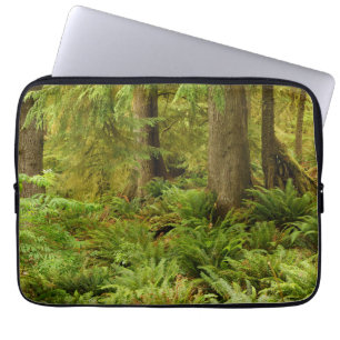Lush Forest & Ferns   Ecola State Park, Oregon Laptop Sleeve