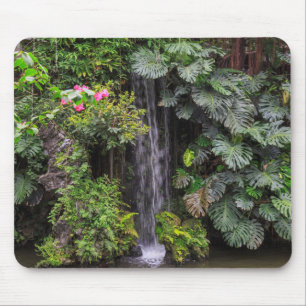 Lush Garden Waterfall, China Mouse Pad