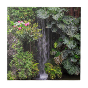 Lush Garden Waterfall, China Tile