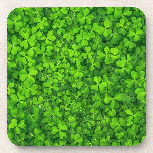Lush Green Clovers with Water Drops Coaster (Front)