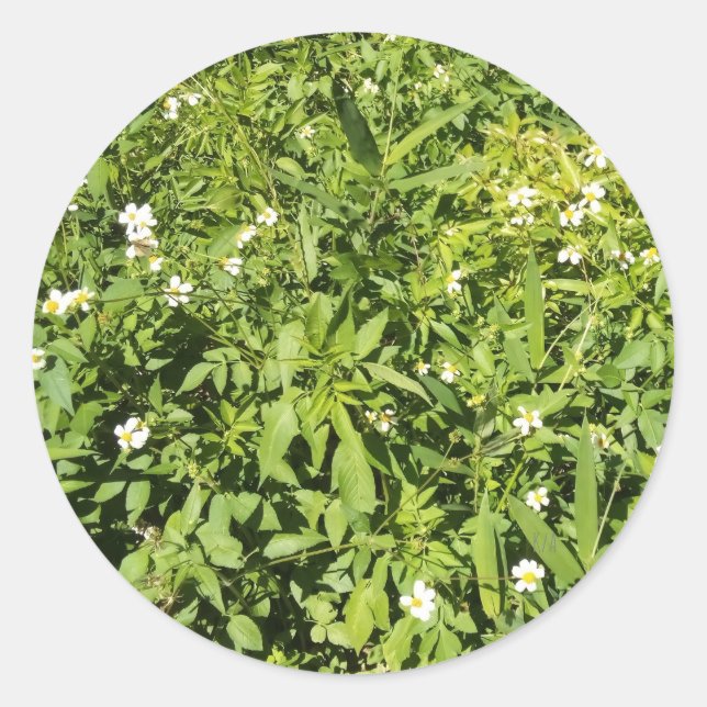 Lush green field with flowers classic round sticker (Front)