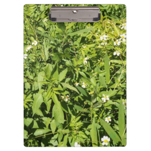 Lush green floral field clipboard