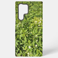 Lush green floral field