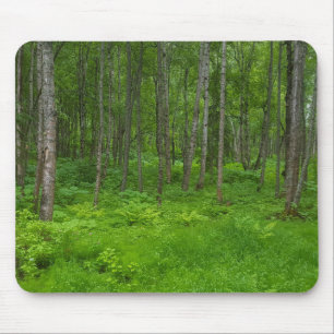 Lush Green Forest Landscape Scene Mouse Pad