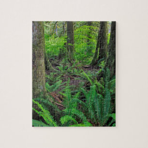 Lush Green Forest Scenic Jigsaw Puzzle