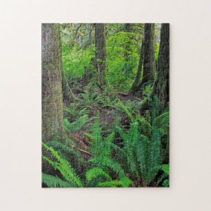 Lush Green Forest Scenic Jigsaw Puzzle