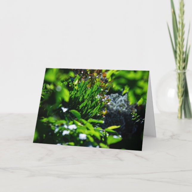 Lush green garden card (Front)