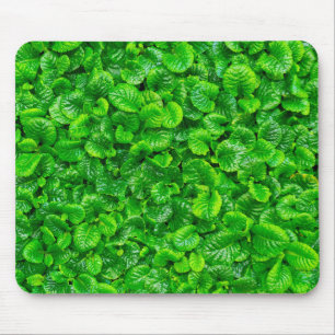 Lush Green Leaves Mouse Pad