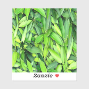Lush Green Leaves Pattern – Nature Botanical 