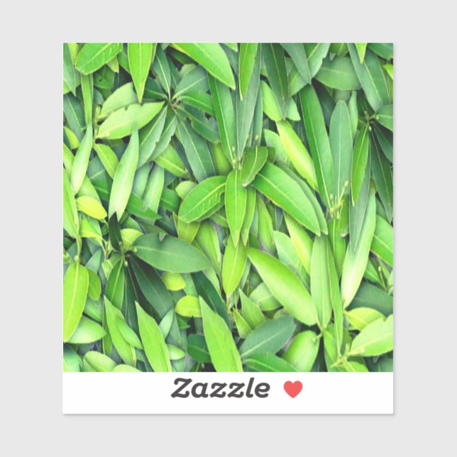 Lush Green Leaves Pattern – Nature Botanical  (Sheet)