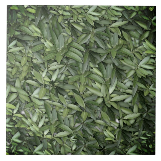 Lush Green Leaves Pattern – Nature Botanical  Ceramic Tile (Front)