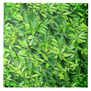 Lush Green Leaves Pattern – Nature Botanical Ceramic Tile
