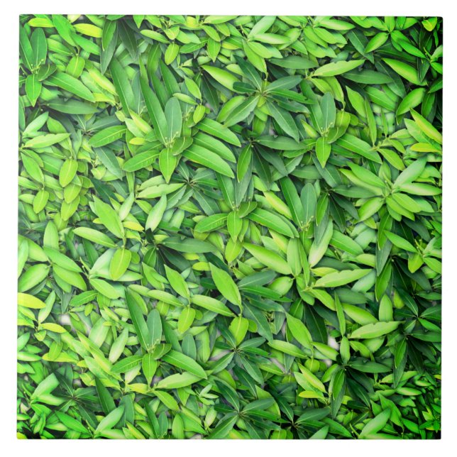 Lush Green Leaves Pattern – Nature Botanical  Ceramic Tile (Front)