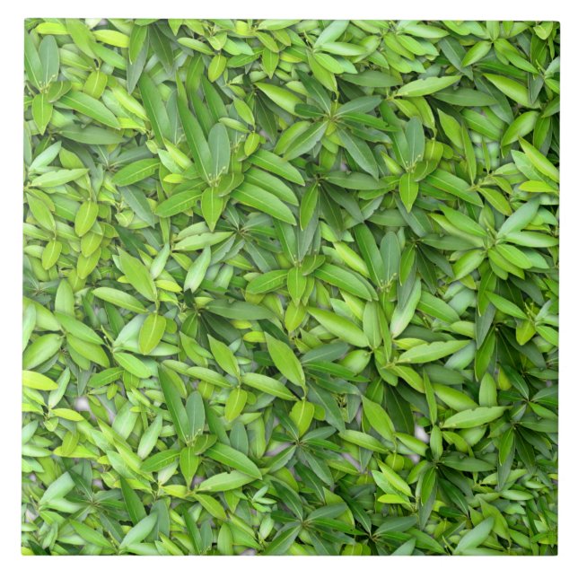Lush Green Leaves Pattern – Nature Botanical  Ceramic Tile (Front)