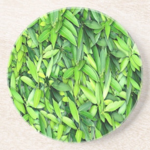Lush Green Leaves Pattern – Nature Botanical Coaster