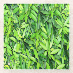 Lush Green Leaves Pattern – Nature Botanical Glass Coaster