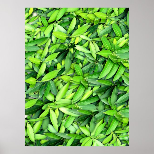 Lush Green Leaves Pattern – Nature Botanical  Poster (Front)