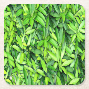 Lush Green Leaves Pattern – Nature Botanical Square Paper Coaster