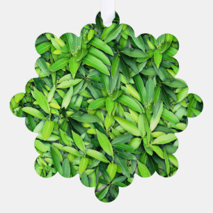 Lush Green Leaves Pattern – Nature Botanical  Tree Decoration Card