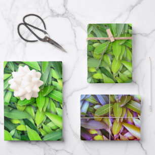 Lush Green Leaves Pattern – Nature Botanical  Wrapping Paper Sheet
