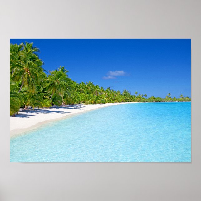 Lush Green Palm Tree Tropical Island Paradise Poster (Front)