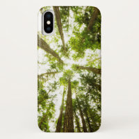 Lush Green Rain Forest