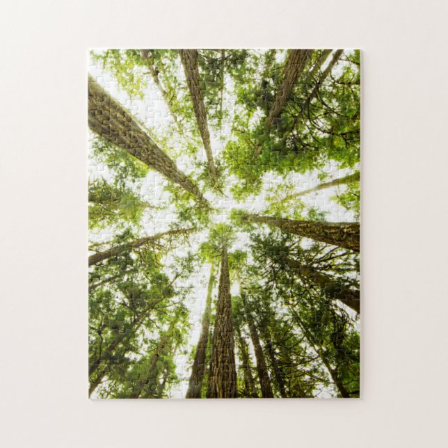 Lush Green Rain Forest Jigsaw Puzzle (Vertical)