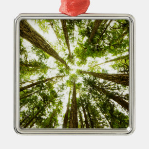 Lush Green Rain Forest Metal Ornament