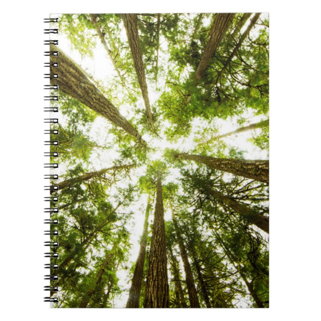 Lush Green Rain Forest Notebook (Front)