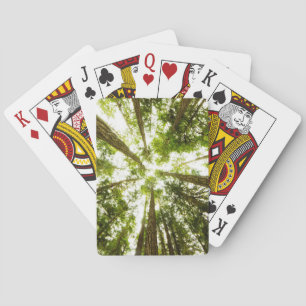 Lush Green Rain Forest Playing Cards