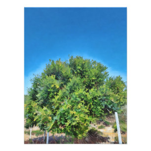 Lush Green Tree Against Vibrant Blue Sky  Photo Print