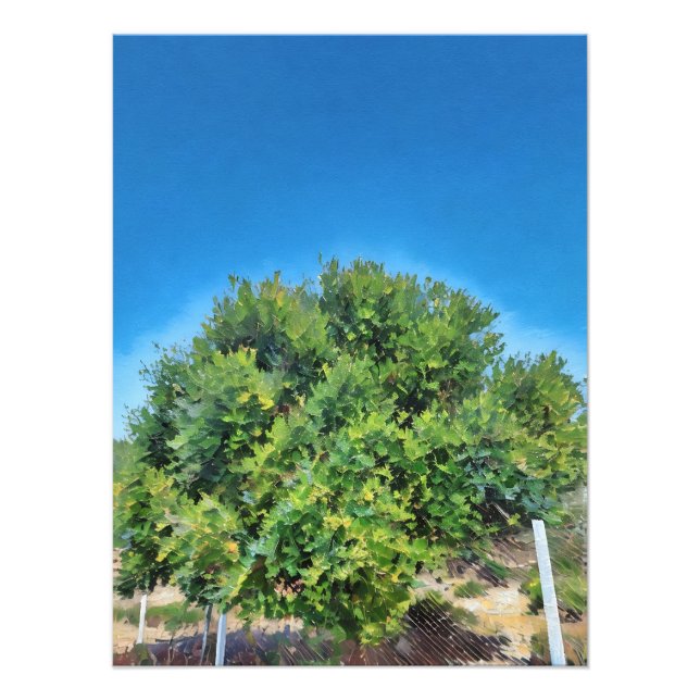 Lush Green Tree Against Vibrant Blue Sky  Photo Print (Front)