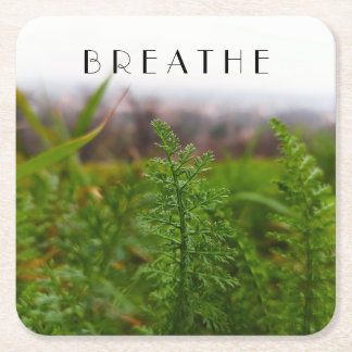 Lush Greenery Wild Grass Earthy Decor Square Paper Coaster