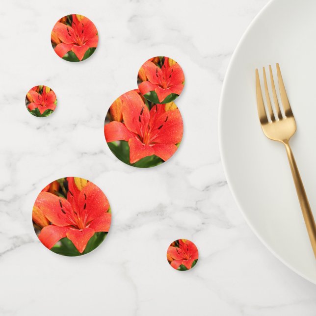 Lush lily confetti (Group)