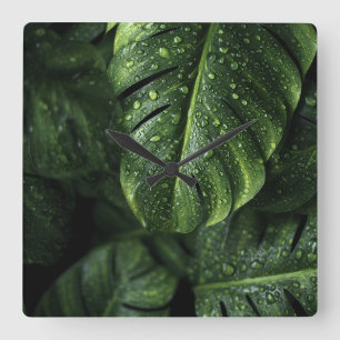 Lush Monstera Leaves with Morning Dew Drops Square Wall Clock
