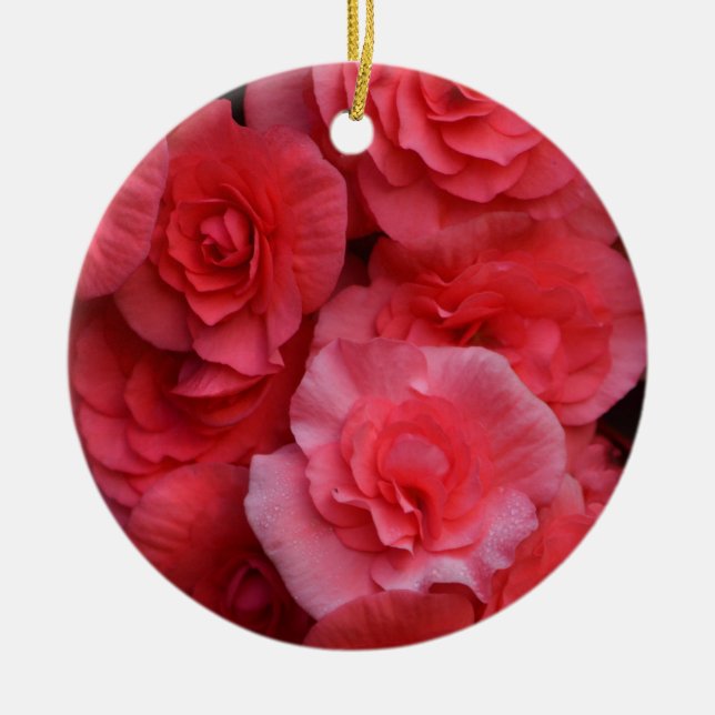 Lush Pink Double Begonia Ceramic Ornament (Front)