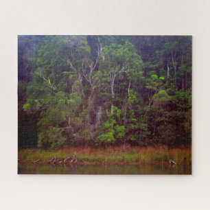 LUSH RAINFOREST 16x20 INCH Jigsaw Puzzle