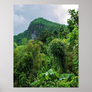 Lush rainforest and el yunque peak poster