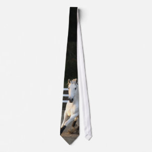 Lusitano at Liberty Tie