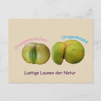 Lustige Orangen Postcard